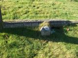 image of grave number 136102